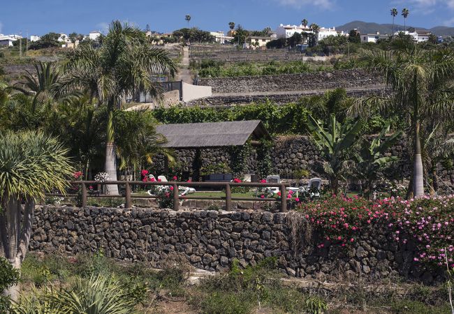 Apartamento en La Matanza de Acentejo - Vista mar, jardín privado Apartamento en La Matanza de Acentejo - Vista mar, jardín privado