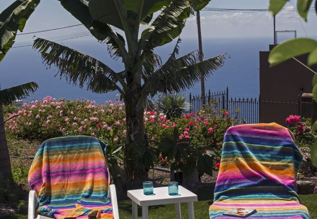 Apartamento en La Matanza de Acentejo - Apartamento en Tenerife jardín privado Apartamento en La Matanza de Acentejo - Apartamento en Tenerife jardín privado