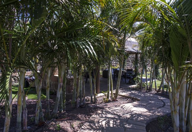 Apartamento en La Matanza de Acentejo - Apartamento en Tenerife jardín privado Apartamento en La Matanza de Acentejo - Apartamento en Tenerife jardín privado