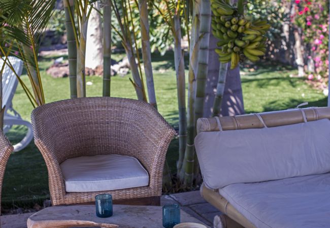 Apartamento en La Matanza de Acentejo - Apartamento en Tenerife jardín privado Apartamento en La Matanza de Acentejo - Apartamento en Tenerife jardín privado