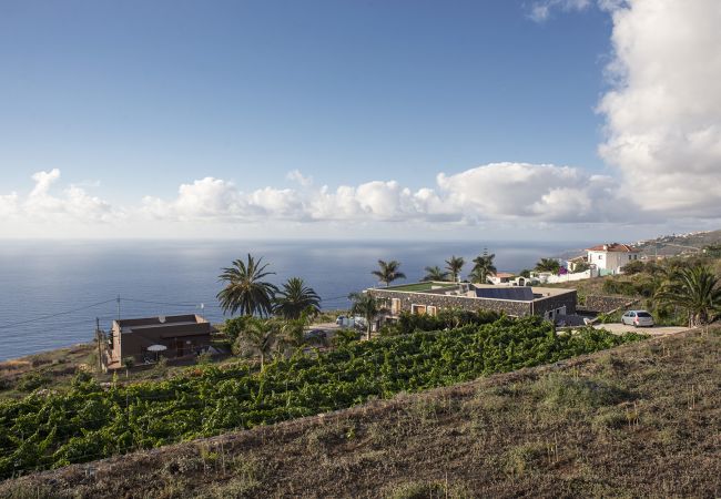 Apartamento en La Matanza de Acentejo - Apartamento en Tenerife jardín privado Apartamento en La Matanza de Acentejo - Apartamento en Tenerife jardín privado