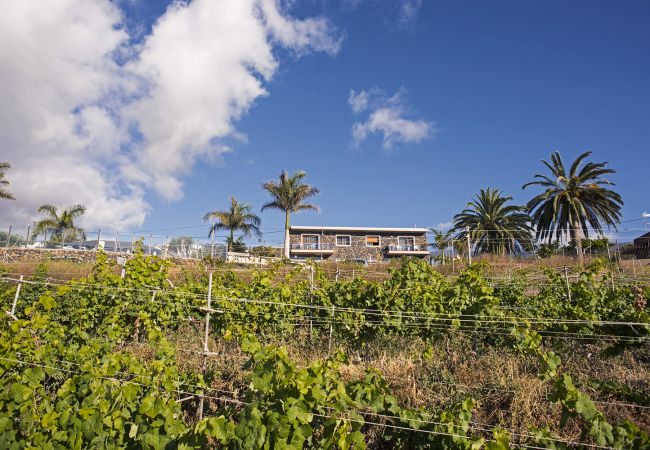 Apartamento en La Matanza de Acentejo - Apartamento en Tenerife jardín privado Apartamento en La Matanza de Acentejo - Apartamento en Tenerife jardín privado