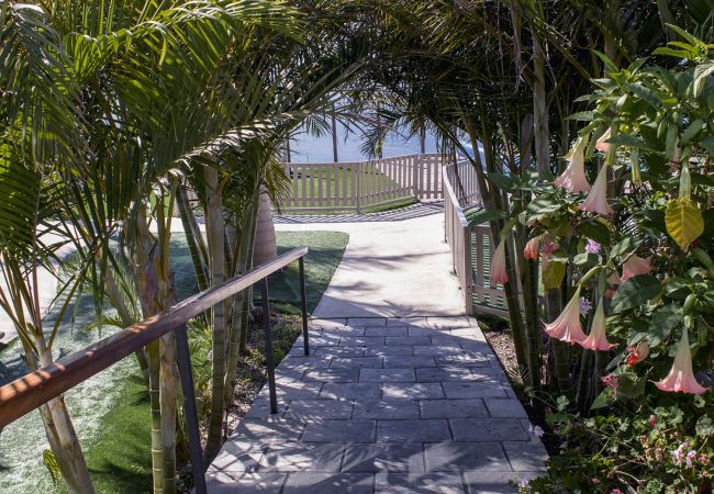 Apartamento en La Matanza de Acentejo - Apartamento en Tenerife jardín privado Apartamento en La Matanza de Acentejo - Apartamento en Tenerife jardín privado