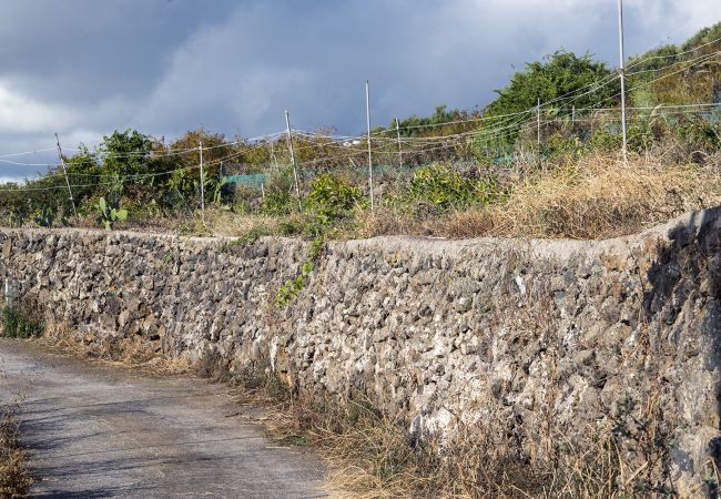 Apartamento en La Matanza de Acentejo - Apartamento en Tenerife jardín privado Apartamento en La Matanza de Acentejo - Apartamento en Tenerife jardín privado