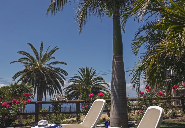 Apartamento en La Matanza de Acentejo - Apartamento en Tenerife jardín privado Apartamento en La Matanza de Acentejo - Apartamento en Tenerife jardín privado