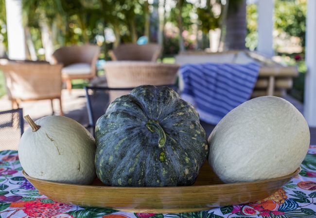Apartamento en La Matanza de Acentejo - Apartamento en Tenerife jardín privado Apartamento en La Matanza de Acentejo - Apartamento en Tenerife jardín privado