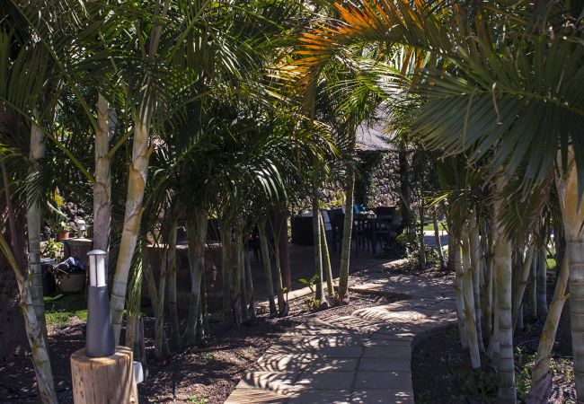 Apartamento en La Matanza de Acentejo - Apartamento en Tenerife jardín privado Apartamento en La Matanza de Acentejo - Apartamento en Tenerife jardín privado