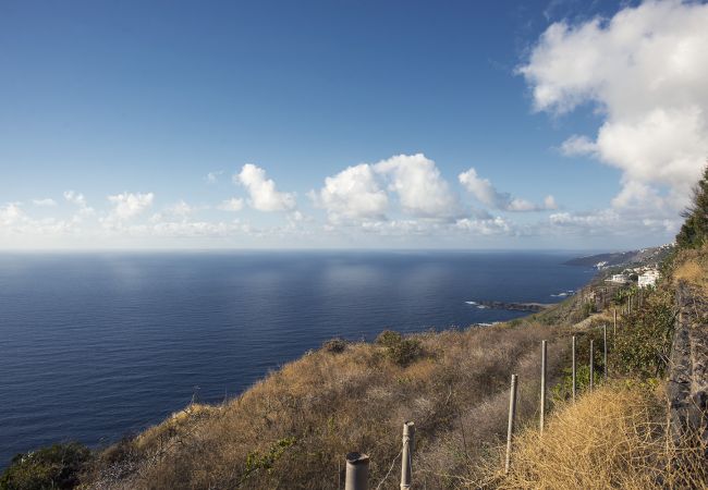 Apartamento en La Matanza de Acentejo - Apartamento en Tenerife jardín privado Apartamento en La Matanza de Acentejo - Apartamento en Tenerife jardín privado