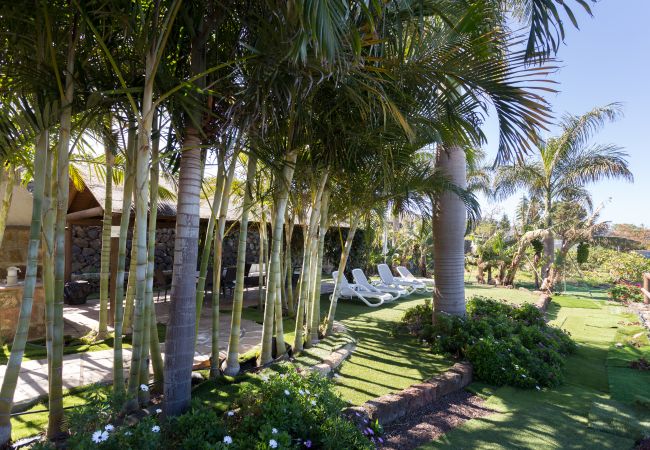 Apartamento en La Matanza de Acentejo - Apartamento en Tenerife jardín privado Apartamento en La Matanza de Acentejo - Apartamento en Tenerife jardín privado