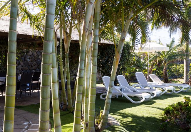 Apartamento en La Matanza de Acentejo - Apartamento en Tenerife jardín privado Apartamento en La Matanza de Acentejo - Apartamento en Tenerife jardín privado
