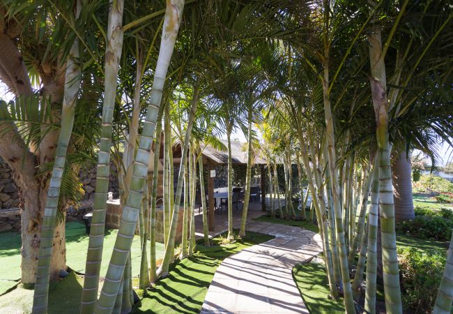 Apartamento en La Matanza de Acentejo - Apartamento en Tenerife jardín privado Apartamento en La Matanza de Acentejo - Apartamento en Tenerife jardín privado