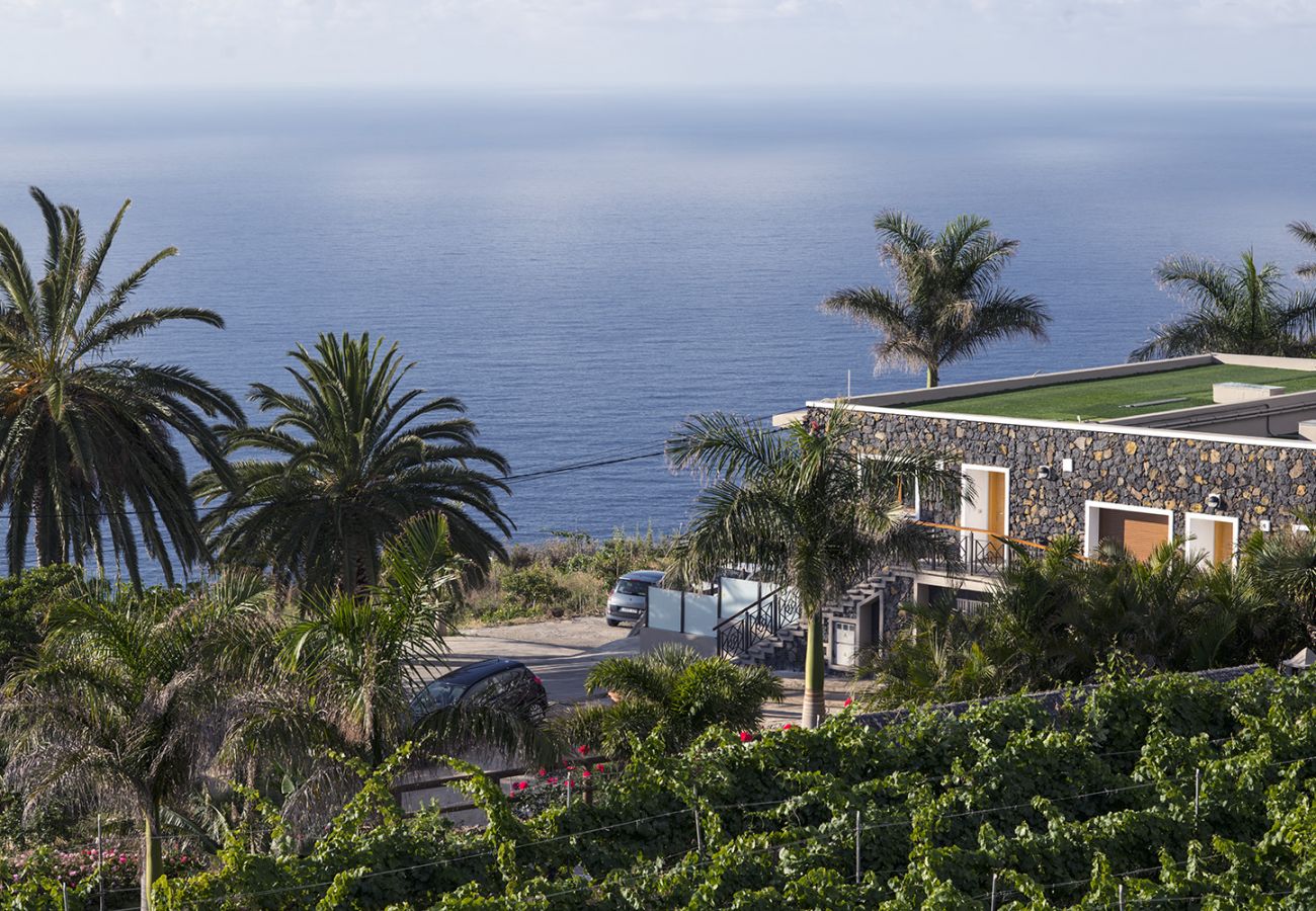 Vista al mar desde nuestro apartamento en tenerife norte Vista al mar desde nuestro apartamento en tenerife norte