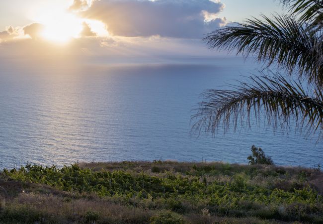 Apartamento en La Matanza de Acentejo - Tenerife, Vista montaña, privacidad Apartamento en La Matanza de Acentejo - Tenerife, Vista montaña, privacidad