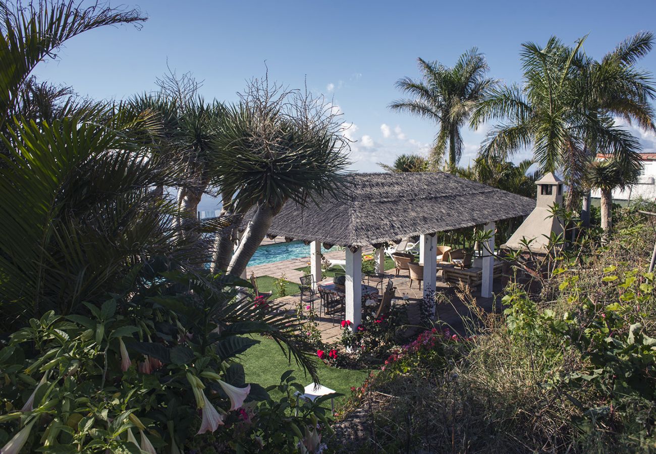 Apartamento en La Matanza de Acentejo - Apartamento vista lateral mar y montaña Apartamento en La Matanza de Acentejo - Apartamento vista lateral mar y montaña