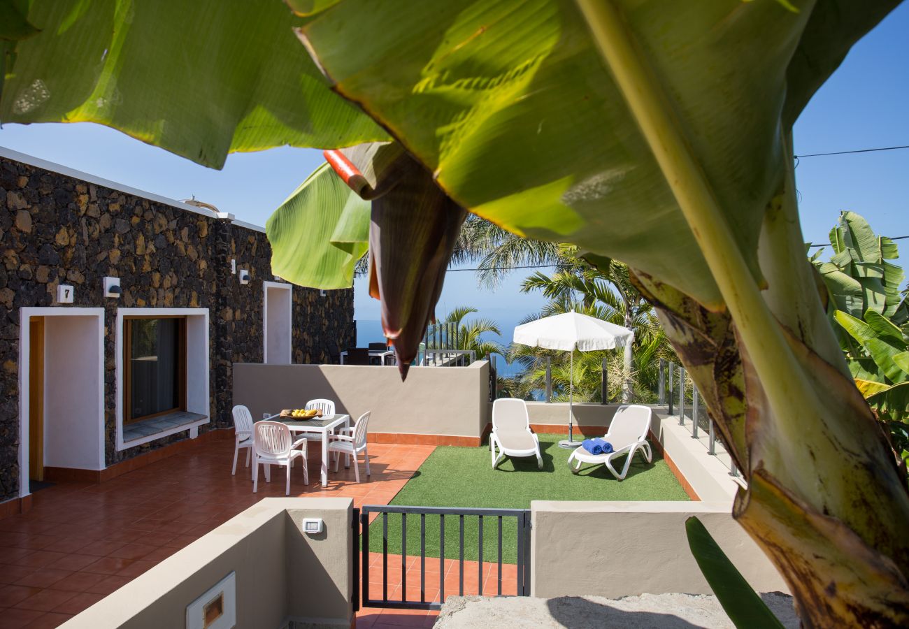 Apartamento en La Matanza de Acentejo - Apartamento vista lateral mar y montaña Apartamento en La Matanza de Acentejo - Apartamento vista lateral mar y montaña