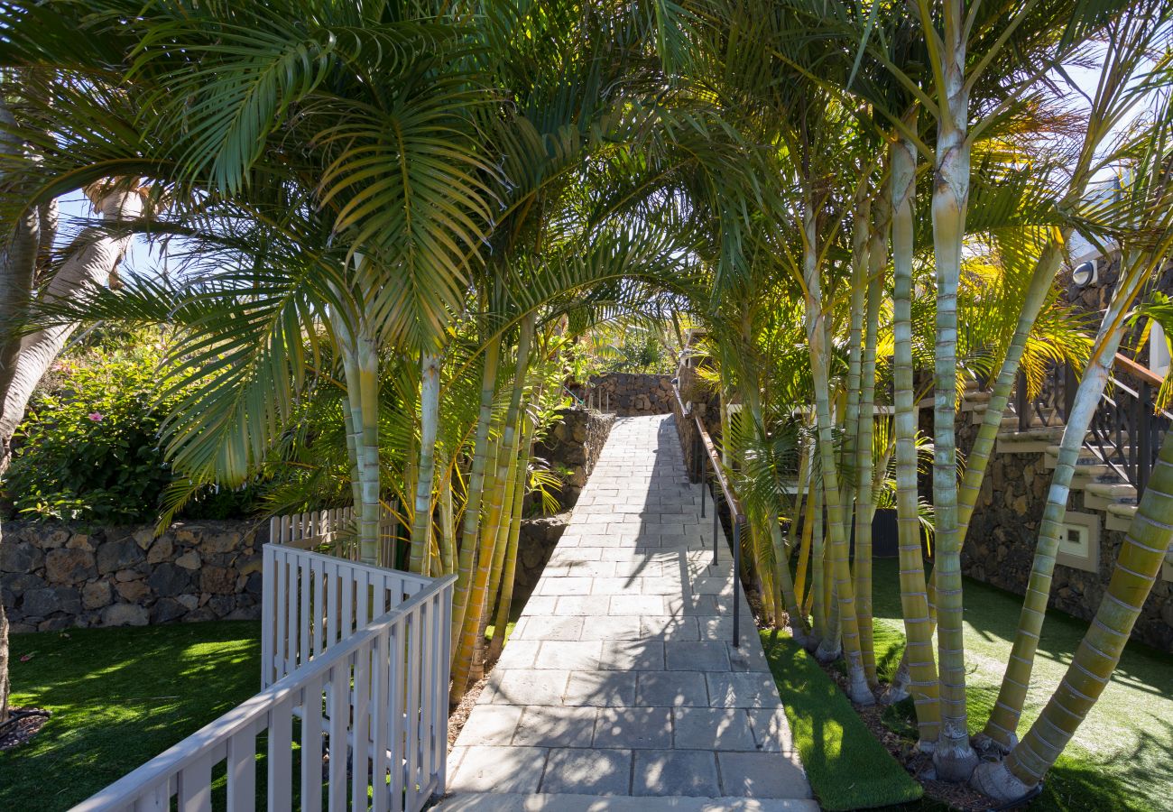 Apartamento en La Matanza de Acentejo - Apartamento vista lateral mar y montaña Apartamento en La Matanza de Acentejo - Apartamento vista lateral mar y montaña
