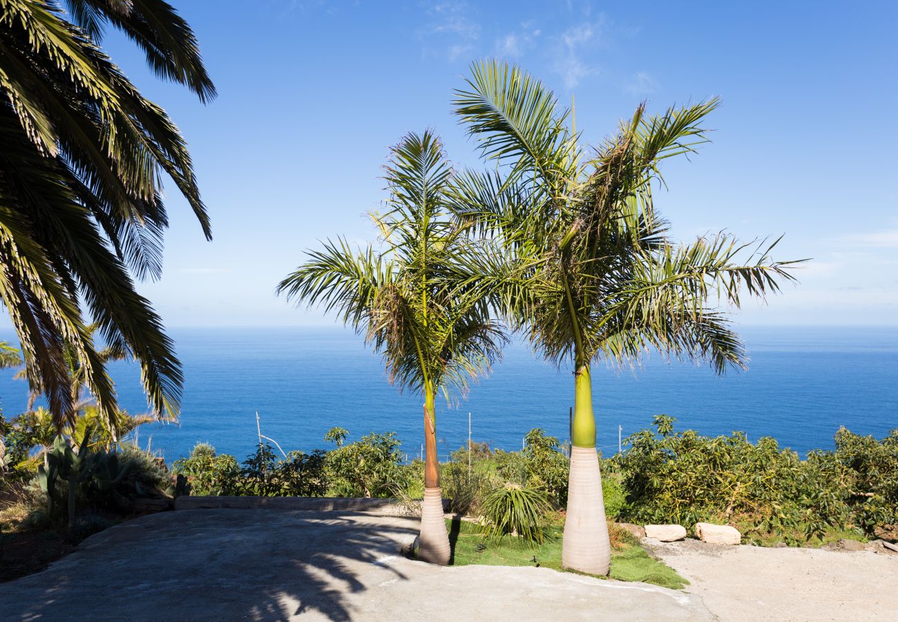 Apartamento en La Matanza de Acentejo - Apartamento vista lateral mar y montaña Apartamento en La Matanza de Acentejo - Apartamento vista lateral mar y montaña