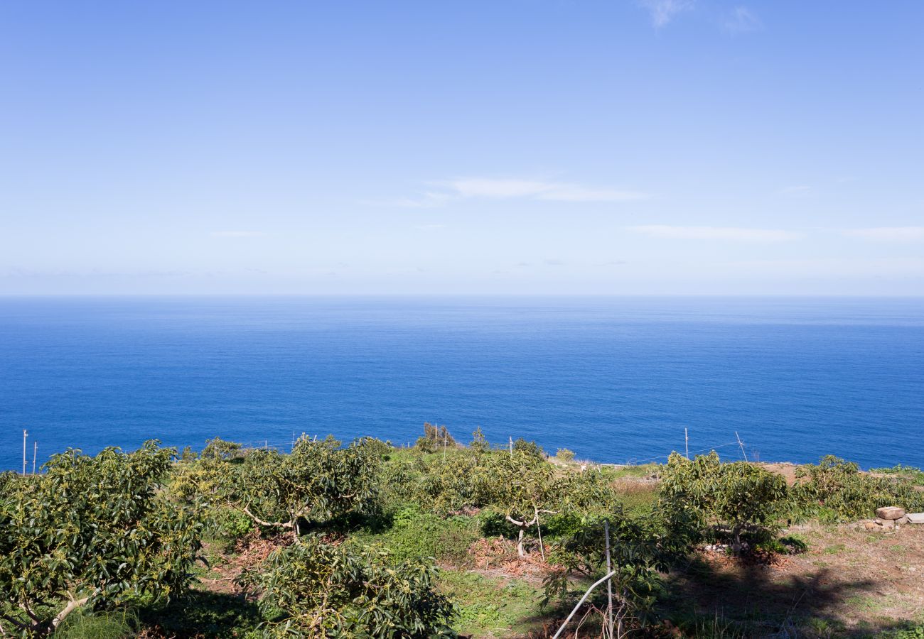 Apartamento en La Matanza de Acentejo - Apartamento vista lateral mar y montaña Apartamento en La Matanza de Acentejo - Apartamento vista lateral mar y montaña
