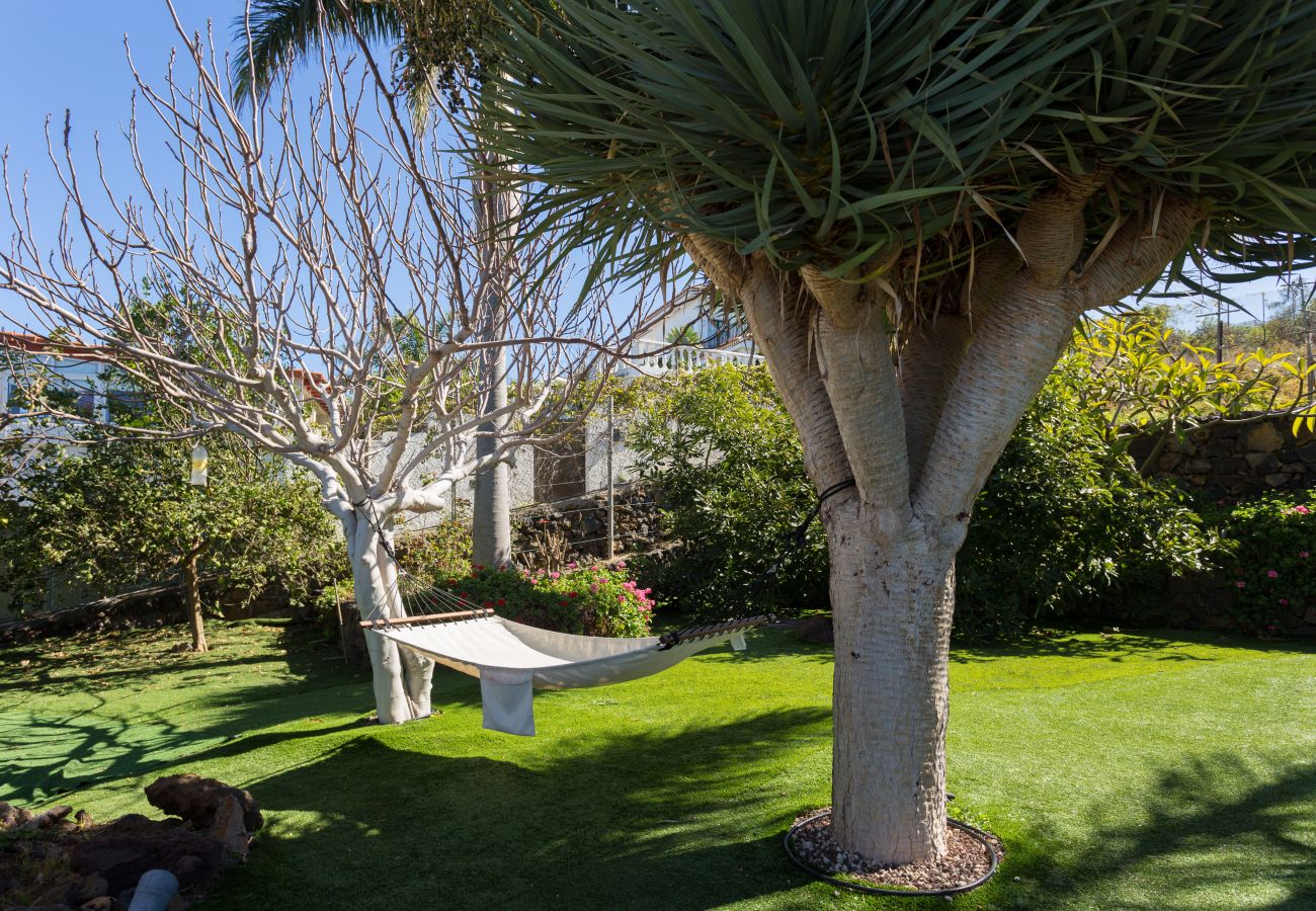 Apartamento en La Matanza de Acentejo - Apartamento vista lateral mar y montaña Apartamento en La Matanza de Acentejo - Apartamento vista lateral mar y montaña