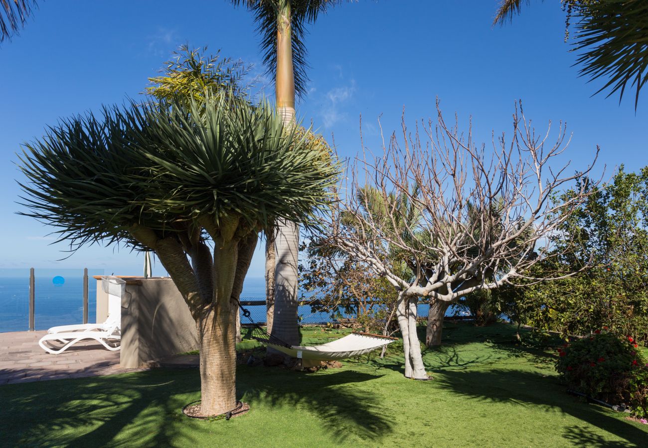 Apartamento en La Matanza de Acentejo - Apartamento vista lateral mar y montaña Apartamento en La Matanza de Acentejo - Apartamento vista lateral mar y montaña