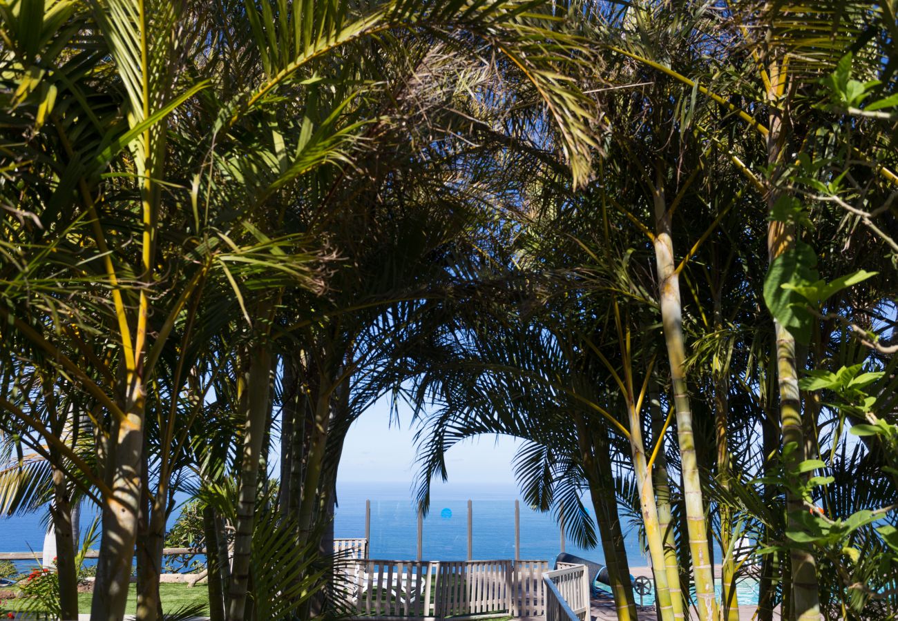 Apartamento en La Matanza de Acentejo - Apartamento vista lateral mar y montaña Apartamento en La Matanza de Acentejo - Apartamento vista lateral mar y montaña