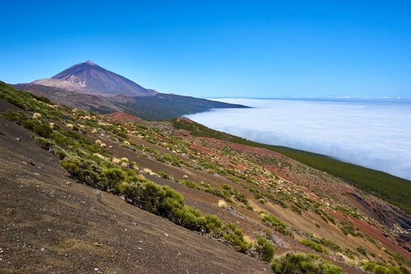 Valle de la orotava en la costa de acentejo Tenerife