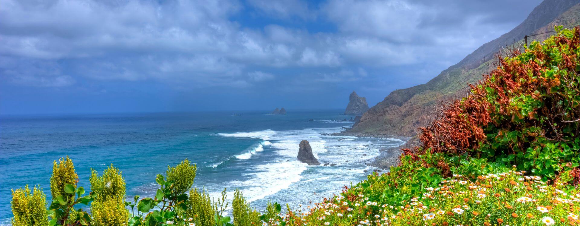 buen tiempo tenerife norte