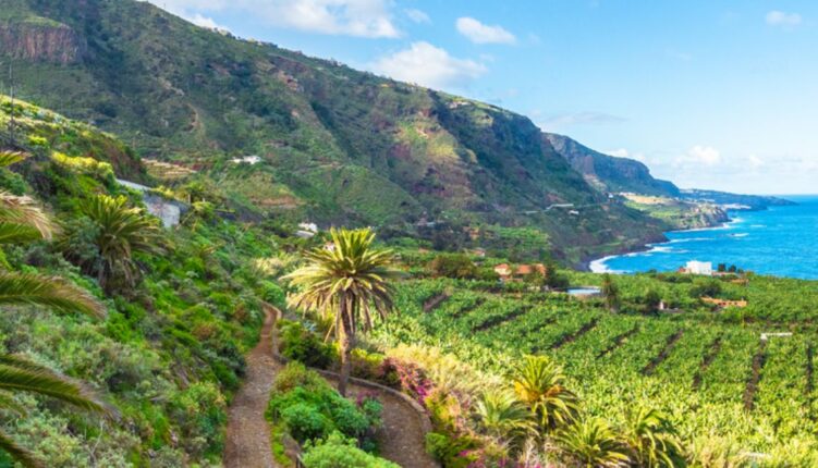Planifica tu próxima escapada a Tenerife