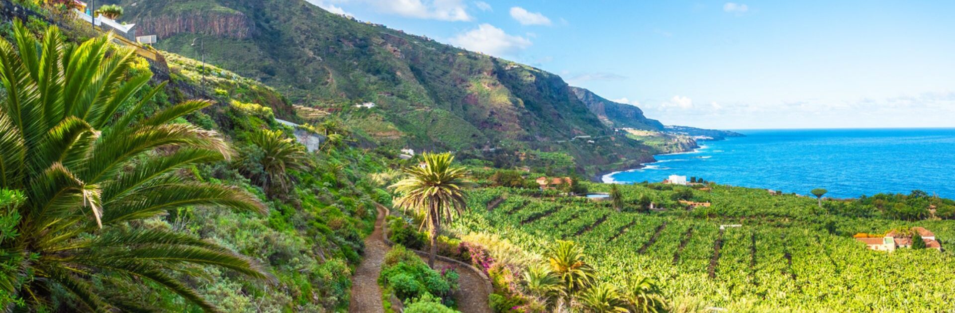 Planifica-tu-proxima-escapada-a-Tenerife