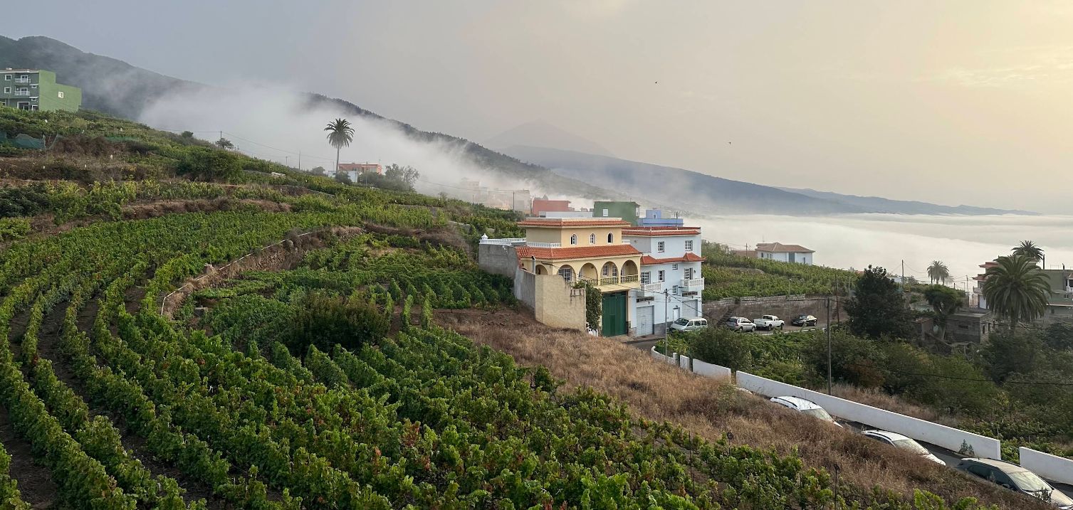 Victoria-de-Acentejo-vistas