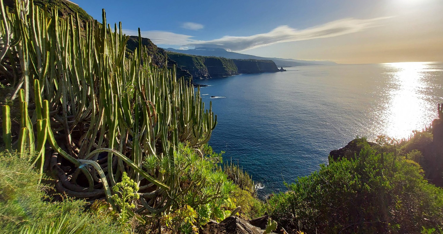 Sendero-El-Jagre-tenerife