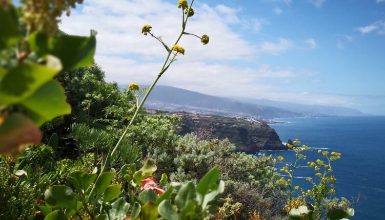Tenerife Sendero El Jagre