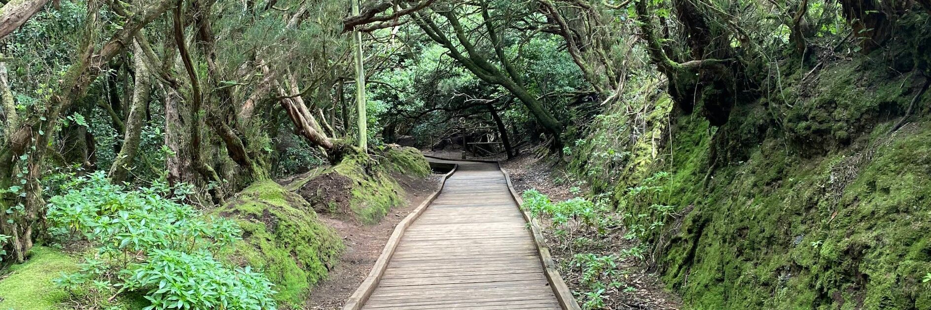 Parque natural Anaga Tenerife