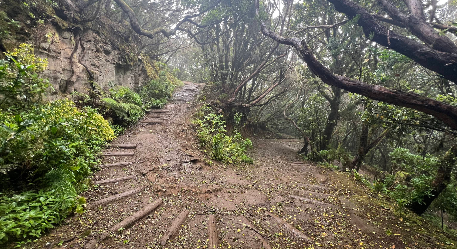 Parque-natural-Anaga