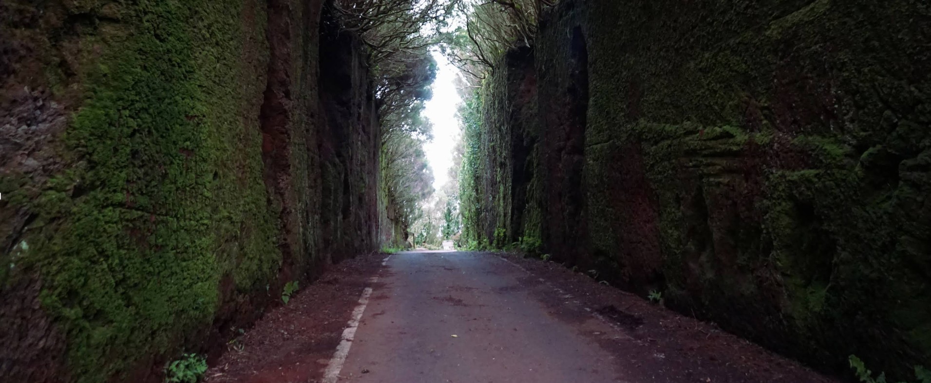 parque-rural-de-anaga-tenerife-norte