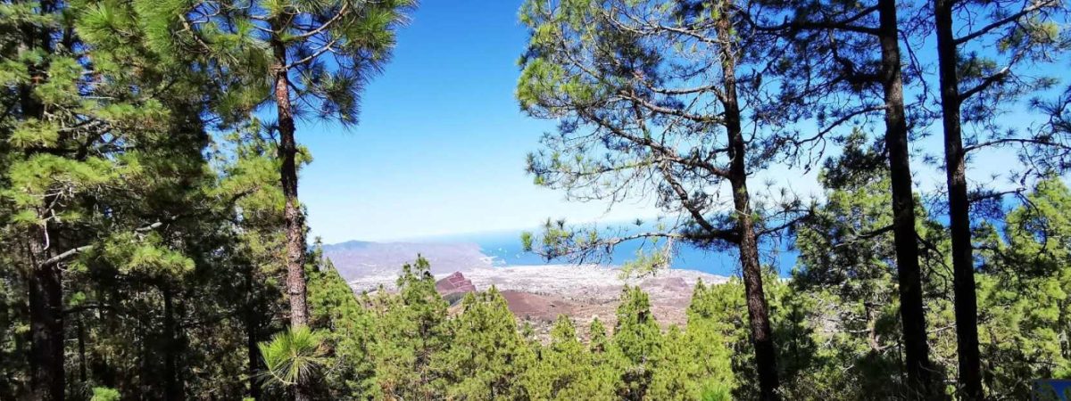 Mirador montaña grande tenerife