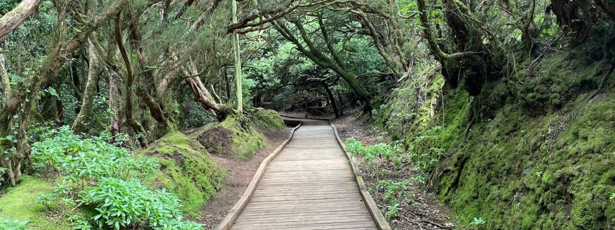 Parque natural Anaga Tenerife