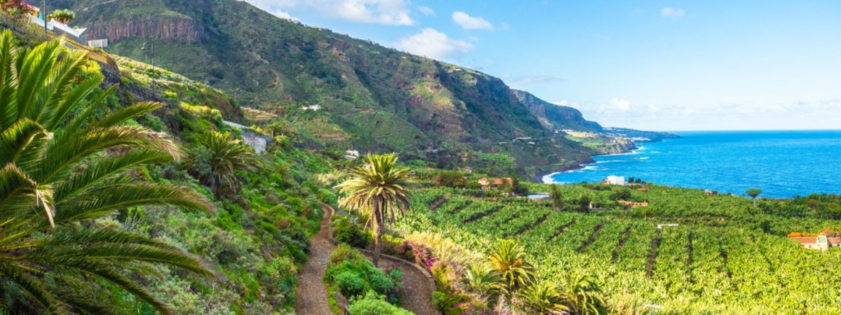 Planifica-tu-proxima-escapada-a-Tenerife