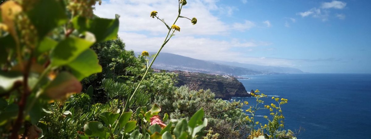 Tenerife Sendero El Jagre