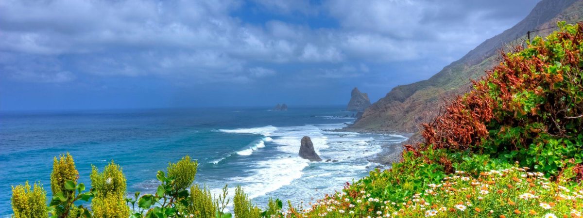 buen tiempo tenerife norte