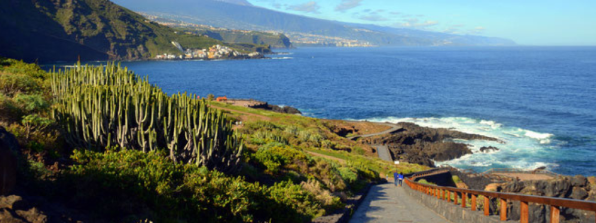 costa-de-rojas.el-sauzal-tenerife