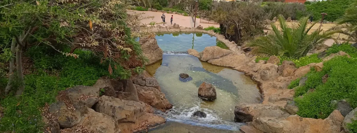 parque-natural-el-montillo