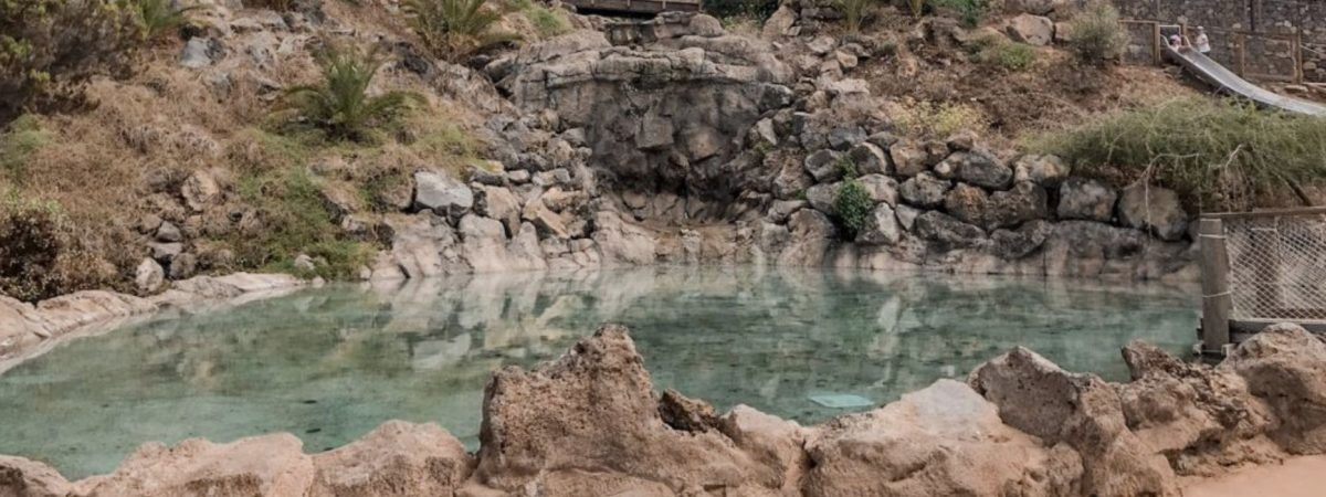 Parque natural el montillo in Tenerife