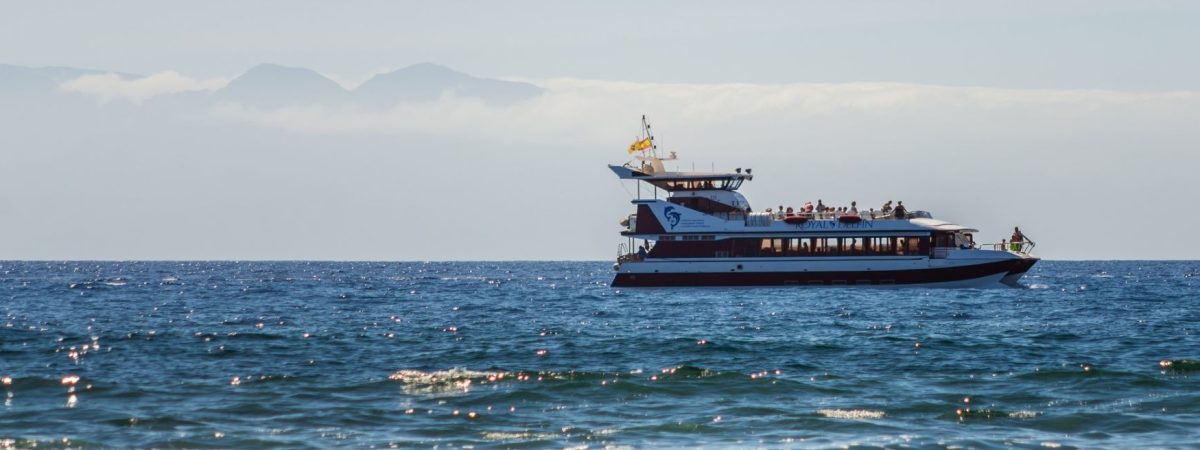 paseo en barco tenerife