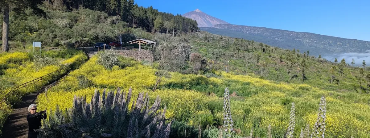 visitar Parque Natural de la Corona Forestal