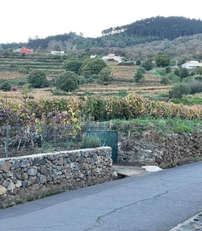 la matanza de tenerife zona natural