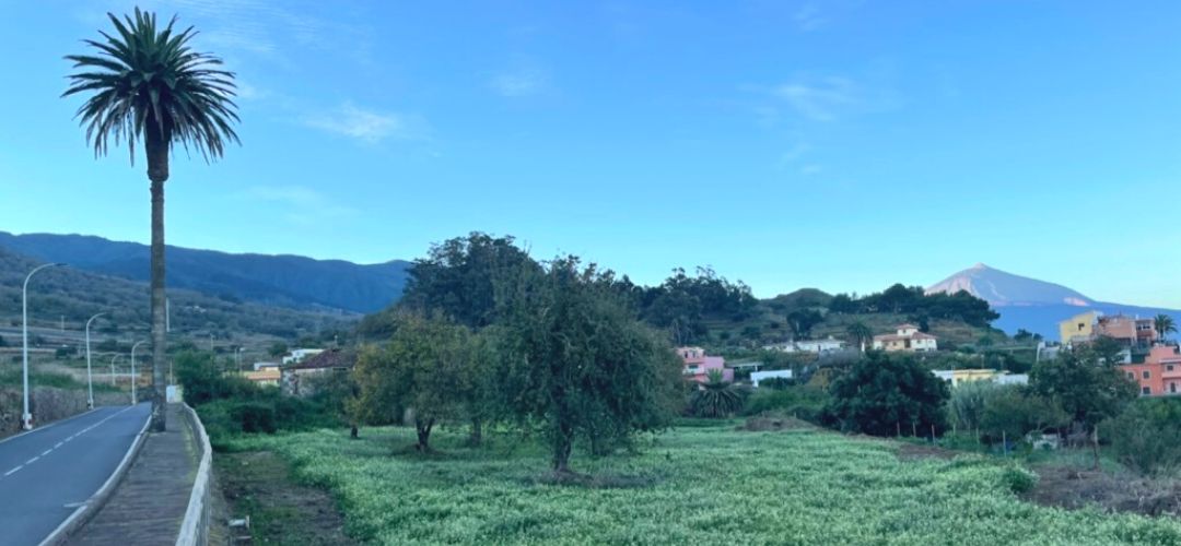 conocer la matanza de acentejo tenerife