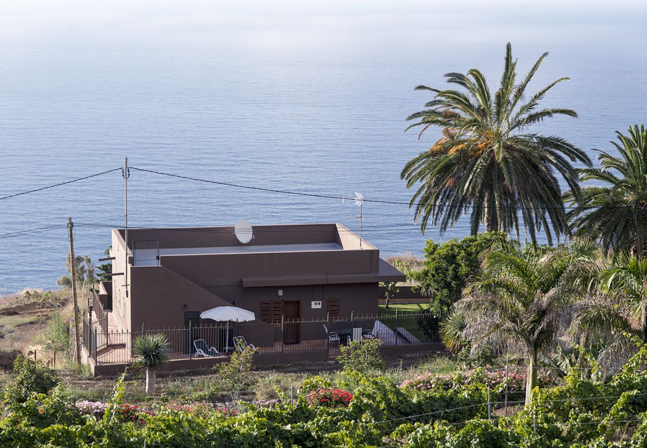 Ferienhaus in La Matanza de Acentejo - Casa Tenerife Norte Vista mar Ferienhaus in La Matanza de Acentejo - Casa Tenerife Norte Vista mar