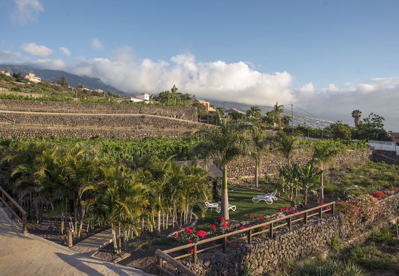 Ferienhaus in La Matanza de Acentejo - Casa Tenerife Norte Vista mar Ferienhaus in La Matanza de Acentejo - Casa Tenerife Norte Vista mar