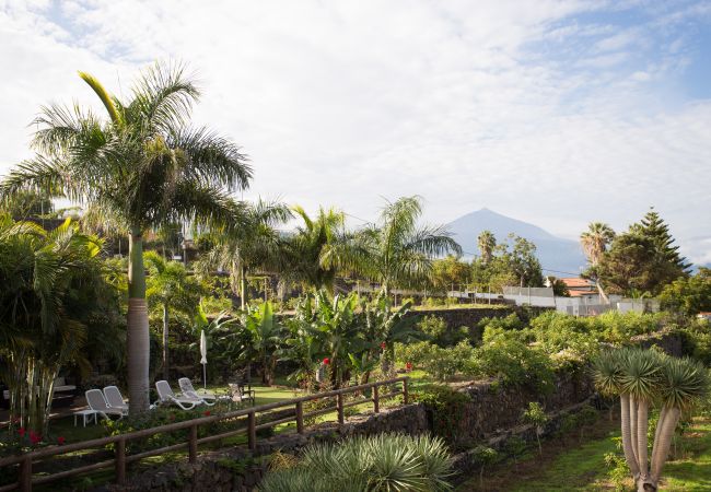 Apartment in La Matanza de Acentejo - Tenerife vista mar y montaña Apartment in La Matanza de Acentejo - Tenerife vista mar y montaña